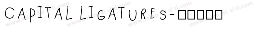 Capital ligatures字体转换